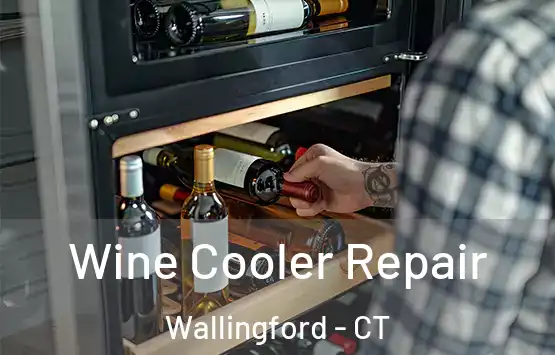  Wine Cooler Repair Wallingford - CT