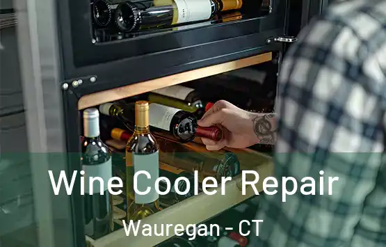  Wine Cooler Repair Wauregan - CT