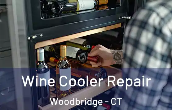  Wine Cooler Repair Woodbridge - CT