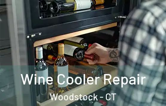  Wine Cooler Repair Woodstock - CT